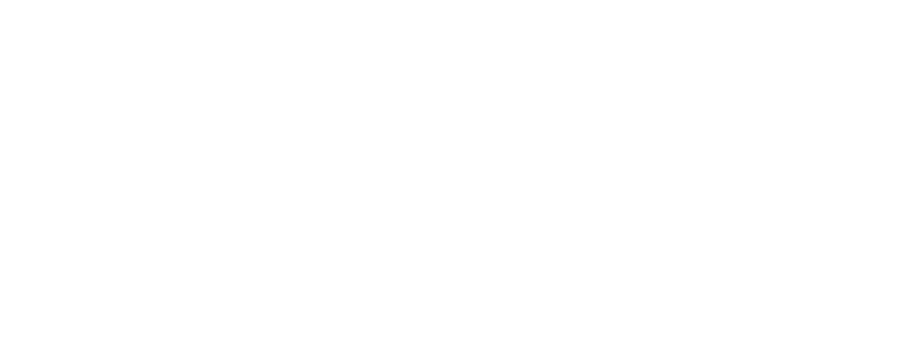 Virgilio De Mier · The Image Experience